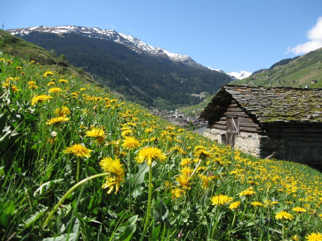Ferienwohnung Mura Vals Buitenkant foto
