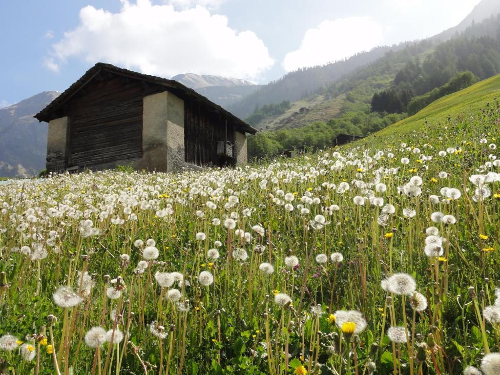 Ferienwohnung Mura Vals Buitenkant foto